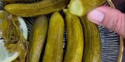 فوت و فن خیار شور و راز خوشمزگی خیار شور و علت تلخ شدن آن