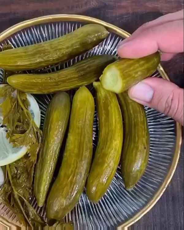 نسبت آب و نمک خیارشور نی نی سایت علت شیری رنگ شدن اب خیارشور نی نی سایت طرز تهیه خیار شور علت تلخ شدن خیار شور طرز تهیه خیارشور خانگی با ماندگاری بالا از کجا بفهمیم خیارشور رسیده نی نی سایت سبزی خیارشور بازاری علت نرسیدن خیارشور نی نی سایت