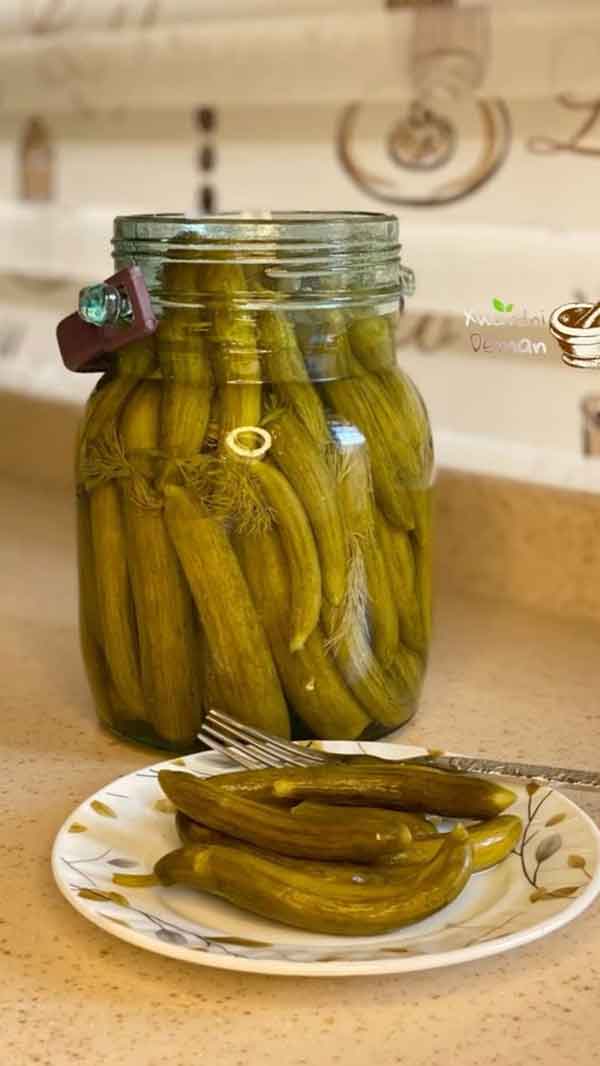 نسبت آب و نمک خیارشور نی نی سایت علت شیری رنگ شدن اب خیارشور نی نی سایت طرز تهیه خیار شور علت تلخ شدن خیار شور طرز تهیه خیارشور خانگی با ماندگاری بالا از کجا بفهمیم خیارشور رسیده نی نی سایت سبزی خیارشور بازاری علت نرسیدن خیارشور نی نی سایت