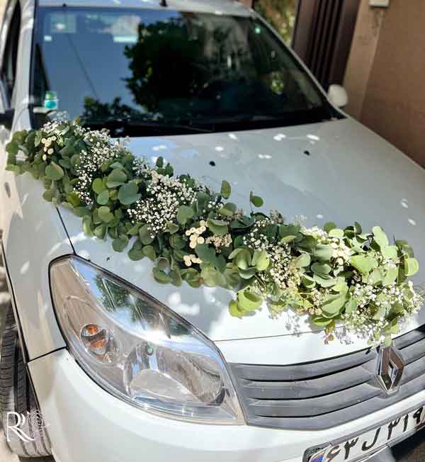 مدل ماشین عروس ساده و شیک