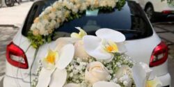 مدل ماشین عروس ساده و شیک