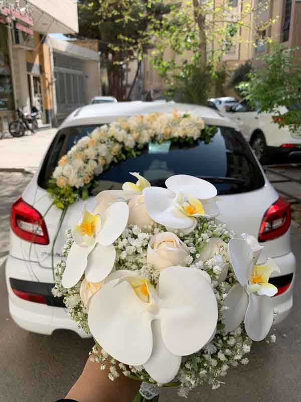 مدل ماشین عروس ساده و شیک