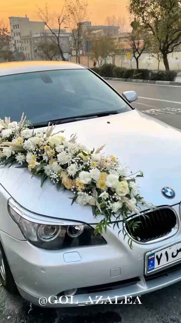 مدل ماشین عروس ساده و شیک