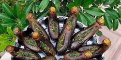 فوت و فن ترشی بادمجان و راز خوشمزگی ترشی بادمجان حرفه ای