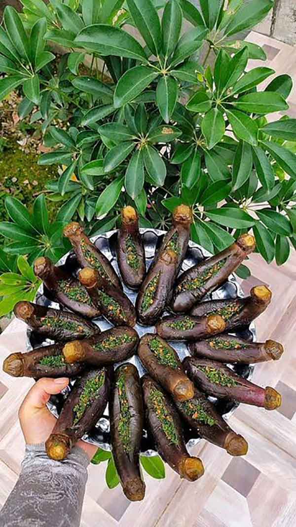 طرز تهیه ترشی بادمجان ترشی بادمجان لعاب دار طرز تهیه ترشی بادمجان ذلک ترشی بادمجان جدید ترشی بادمجان لیته طرز تهیه ترشی بادمجان خیلی ریز ترشی بادمجان کرمانی ترشی بادمجان بدون سرکه