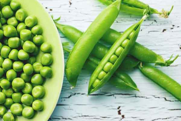 روش پخت نخود فرنگی فریز شده روش پخت نخود فرنگی نی نی سایت علت سفت شدن نخود فرنگی طرز پخت نخود فرنگی پلو روش پخت نخود فرنگی دیرپز زمان پخت نخود فرنگی خشک پخت نخود فرنگی برای الویه پخت نخود فرنگی با غلاف