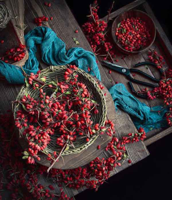 طرز تهیه زرشک ساده فوت و فن مرغ مجلسی نی نی سایت طرز تهیه زرشک رستورانی طرز تهیه زرشک پفکی طرز تهیه زرشک پلو تالار طرز تهیه زرشک پلو با مرغ با هویج و فلفل دلمه طرز تهیه زرشک پلو با مرغ ساده خانگی طرز تهیه زرشک و زعفران روی برنج