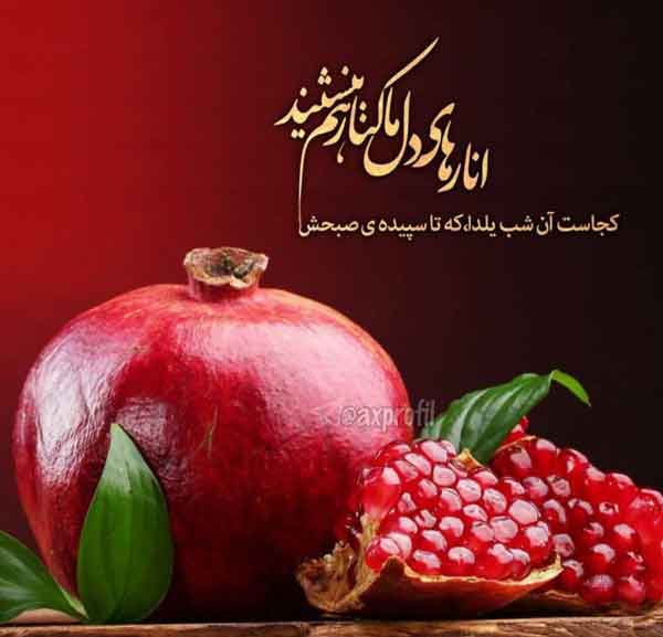عکس شب یلدا با کیفیت بالا عکس برای شب یلدا دخترانه عکس شب یلدا ۱۴۰۰ پروفایل یلدا تنها عکس شب یلدا خانواده های ایرانی عکس شب یلدا عاشقانه