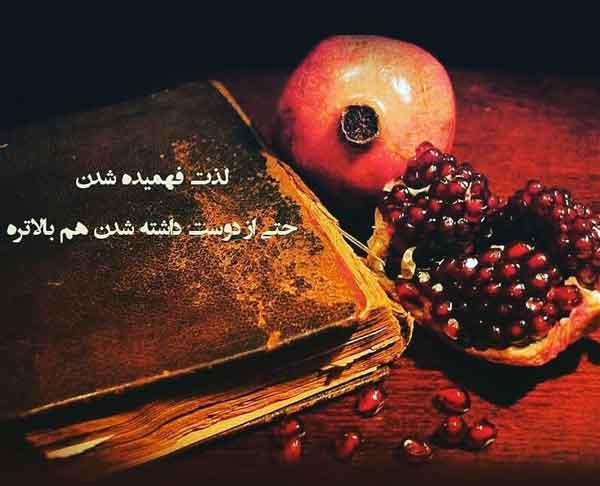 عکس شب یلدا با کیفیت بالا عکس برای شب یلدا دخترانه عکس شب یلدا ۱۴۰۰ پروفایل یلدا تنها عکس شب یلدا خانواده های ایرانی عکس شب یلدا عاشقانه