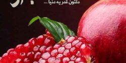 عکس پروفایل شب یلدا + ۲۰ عکس منتخب یلدای امسال به انتخاب کاربران