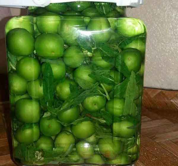 ترشی گوجه فرنگی سبز طرز تهیه ترشی گوجه سبز با آب نمک فوت و فن ترشی کلم قرمز گوجه فرنگی سبز نرسیده طرز تهیه ترشی لیته اصل ترشی انار و کلم بنفش ترشی کلم قرمز فوری طرز تهیه ترشی جنوبی
