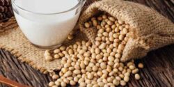 فوت و فن شیر سویا و راز خوشمزگی شیر سویا خوشمزه و خانگی