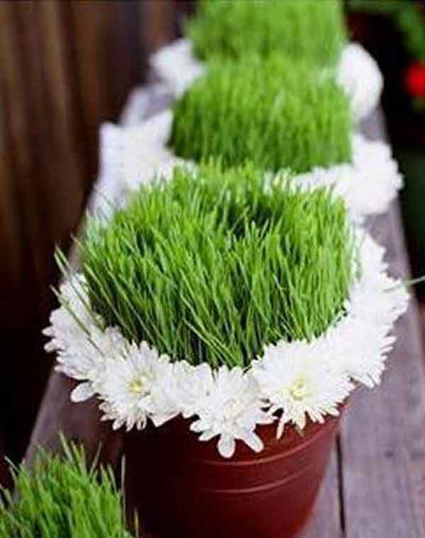 مدل سبزه عید با ایده های خفن و جدید لاکچری جدید و شیک