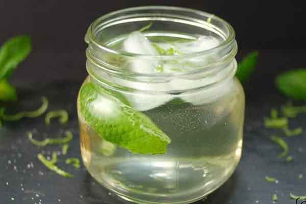 شربت بیدمشک برای چی خوبه خواص شربت بیدمشک و گلاب زعفرانی طرز تهیه شربت بیدمشک نی نی سایت شربت بیدمشک آماده خواص شربت گلاب و بیدمشک خواص شربت بیدمشک و خاکشیر خرید شربت بیدمشک قیمت شربت بیدمشک