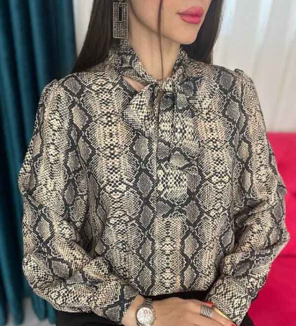 مدل بلوز مجلسی ساده و شیک ساده و طرحدار جذاب و لاکچری مدرن