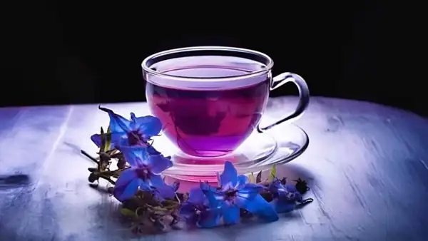فوت و فن دمنوش گل گاو زبان و راز خوشمزگی دمنوش گل گاو زبان خوشمزه و خانگی