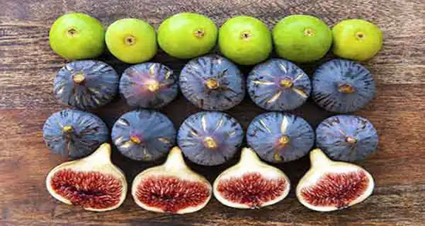 تعبیر خواب انجیر برای دختر مجرد و زن متاهل از نظر روانشناسی