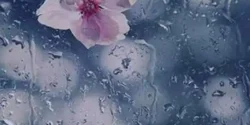 تعبیر خواب باران برای دختر مجرد و زن متاهل از نظر روانشناسی