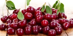 تعبیر خواب گیلاس برای دختر مجرد و زن متاهل از نظر روانشناسی