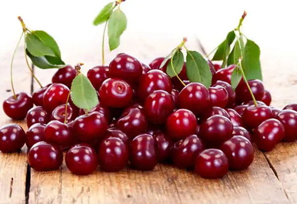 تعبیر خواب گیلاس برای دختر مجرد و زن متاهل از نظر روانشناسی