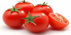 تعبیر خواب گوجه فرنگی برای دختر مجرد و زن متاهل از نظر روانشناسی