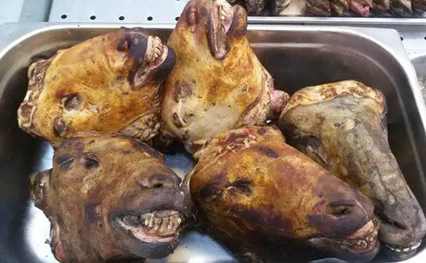 تعبیر خواب کله پاچه برای دختر مجرد و زن متاهل از نظر روانشناسی
