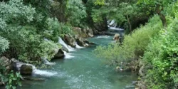 تعبیر خواب رودخانه برای دختر مجرد و زن متاهل از نظر روانشناسی