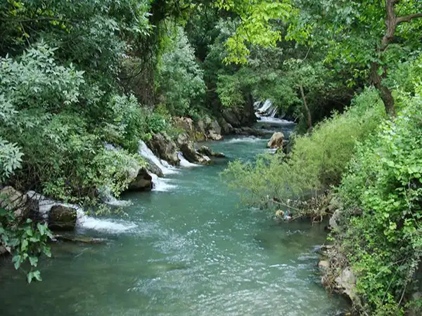تعبیر خواب رودخانه برای دختر مجرد و زن متاهل از نظر روانشناسی