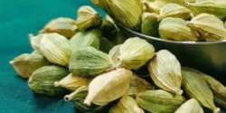 تعبیر خواب هل + برای دختر مجرد و زن متاهل از نظر روانشناسی
