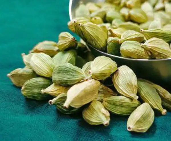 تعبیر خواب هل+ برای دختر مجرد و زن متاهل از نظر روانشناسی