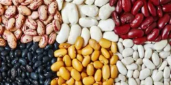 تعبیر خواب لوبیا + برای دختر مجرد و زن متاهل از نظر روانشناسی
