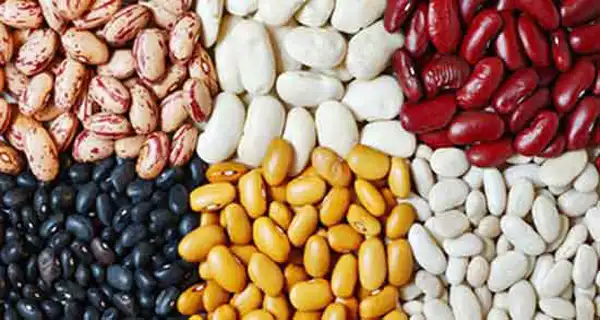 تعبیر خواب لوبیا+ برای دختر مجرد و زن متاهل از نظر روانشناسی