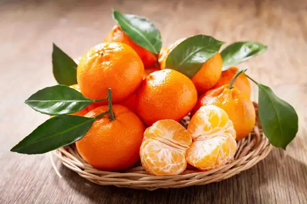 تعبیر خواب نارنگی+ برای دختر مجرد و زن متاهل از نظر روانشناسی