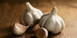 تعبیر خواب سیر+ برای دختر مجرد و زن متاهل از نظر روانشناسی