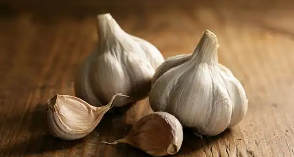 تعبیر خواب سیر+ برای دختر مجرد و زن متاهل از نظر روانشناسی