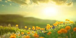 تعبیر خواب صبح + برای دختر مجرد و زن متاهل از نظر روانشناسی