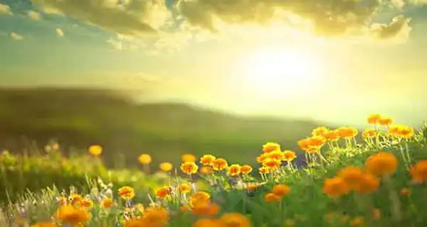 تعبیر خواب صبح+ برای دختر مجرد و زن متاهل از نظر روانشناسی